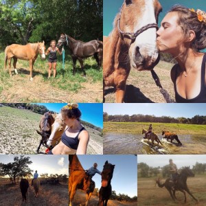 my horses