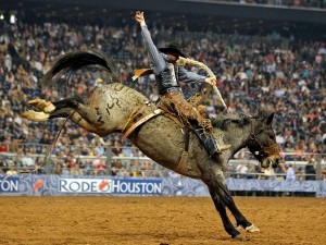 http://meekospark.com/wp-content/uploads/2014/04/Rodeo-Houston-cowboy-riding-a-bucking-horse_0802591.jpg