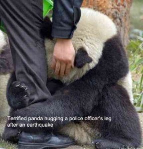 Pandahug