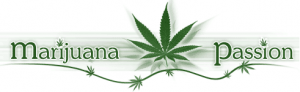 marijuana_passion_logo